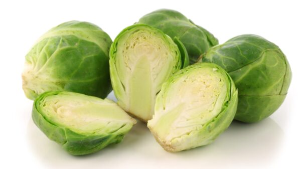 Brussle Sprout - (250gm)
