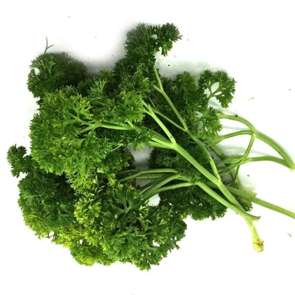 Parsley Leaf - (250gm)