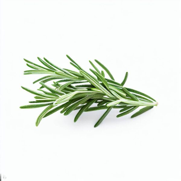 Rosemary - (100gm)