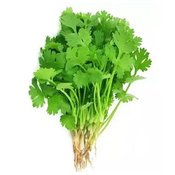 Coriander Without Root - (250gm)