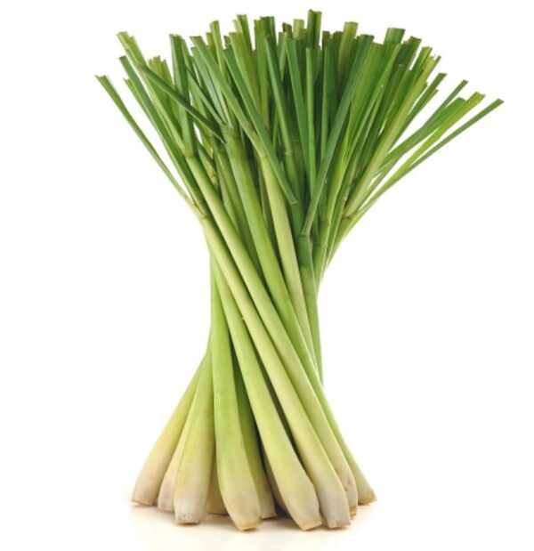Lemon Grass - (250gm)