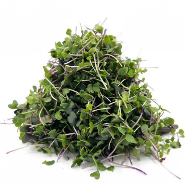 Microgreens - (1packet)
