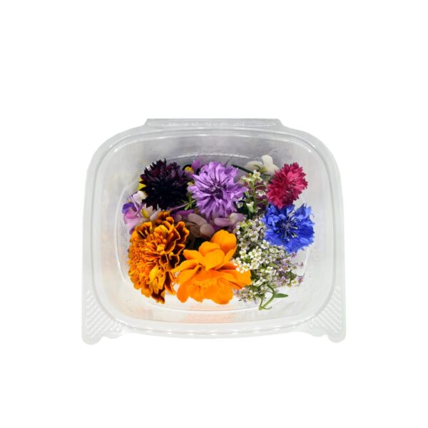 Edible Flower - (1packet)