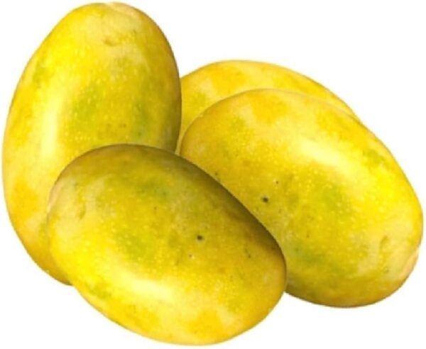 Hamam Mango - (6kg/box)