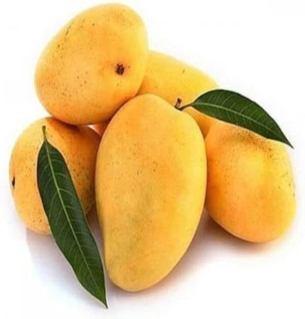 Safeda Mango - (9kg/box)